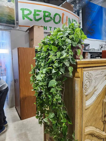 Artificial Hanging Plant
