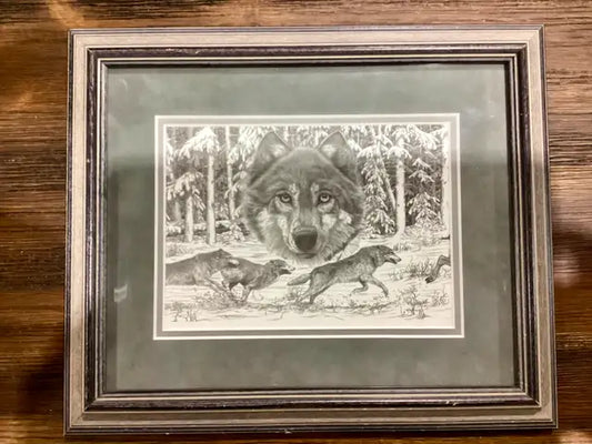 Framed Wolf Print by Bernie Brown