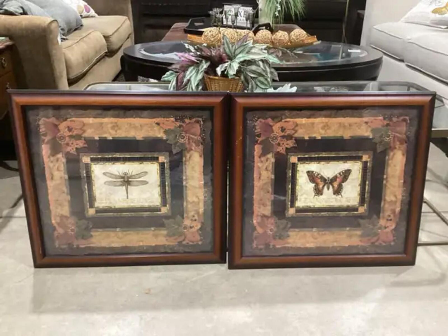 Framed Bug Wall Art - Butterfly and Dragonfly Available