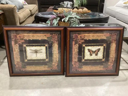 Framed Bug Wall Art - Butterfly and Dragonfly Available