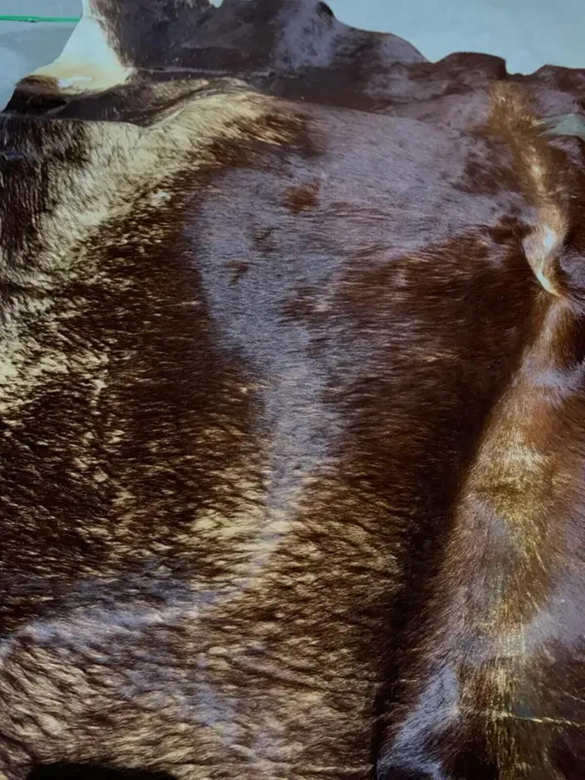 IKEA Koldby Cowhide Rug