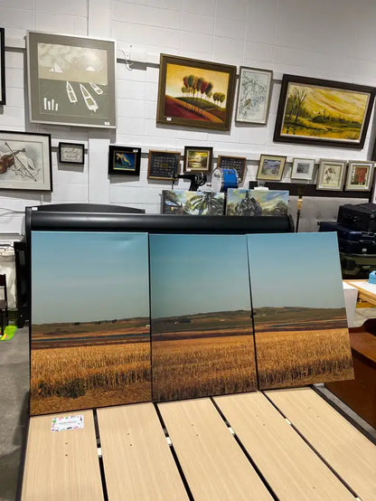 Set of three Canvas Print