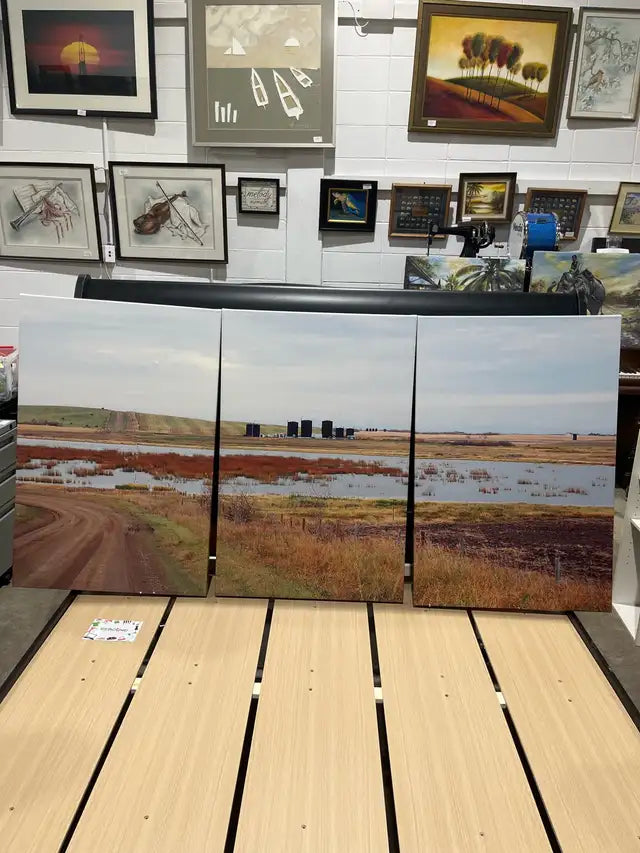 Set of three Canvas Wall Art