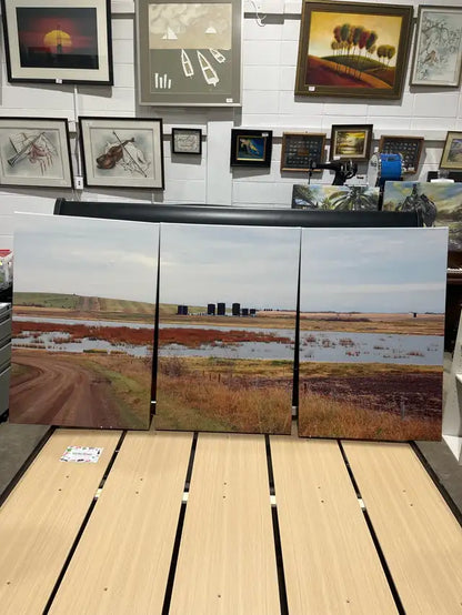 Set of three Canvas Wall Art