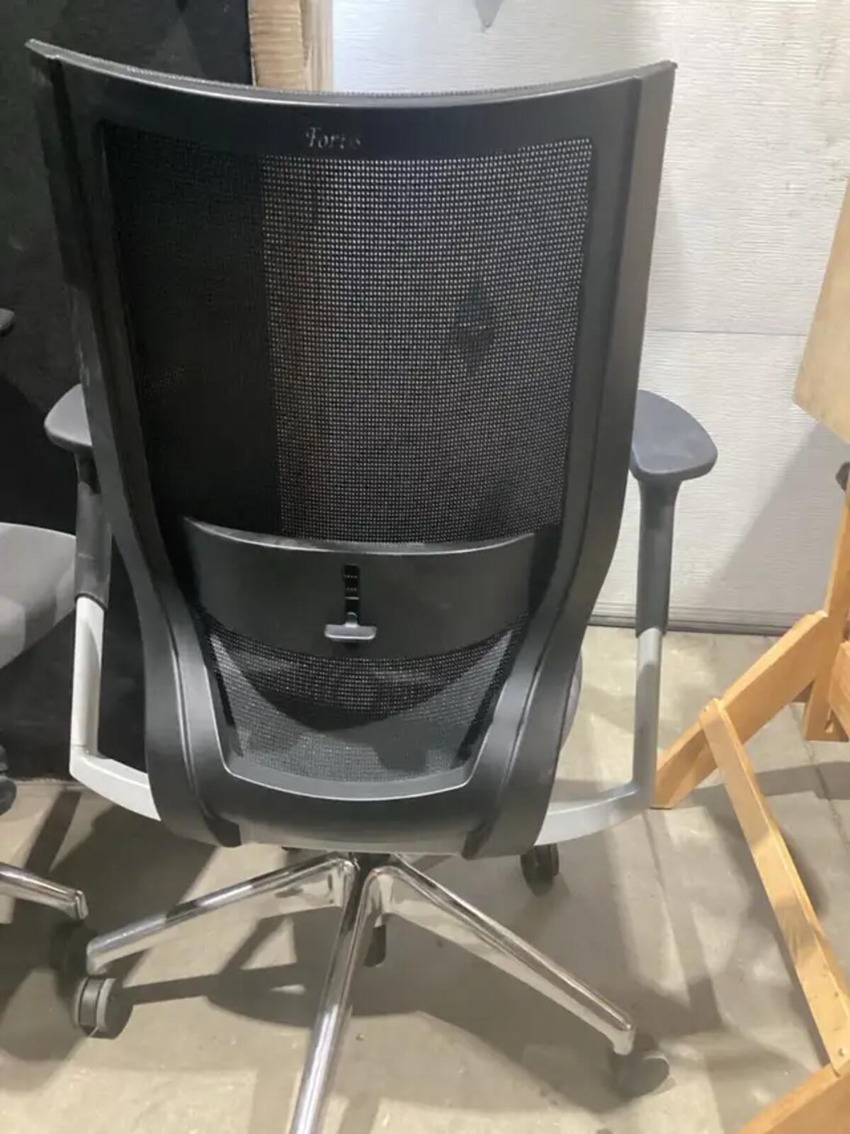 Fortis Mesh Office Chair - 4 Available