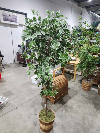 6ft Faux Ficus Tree