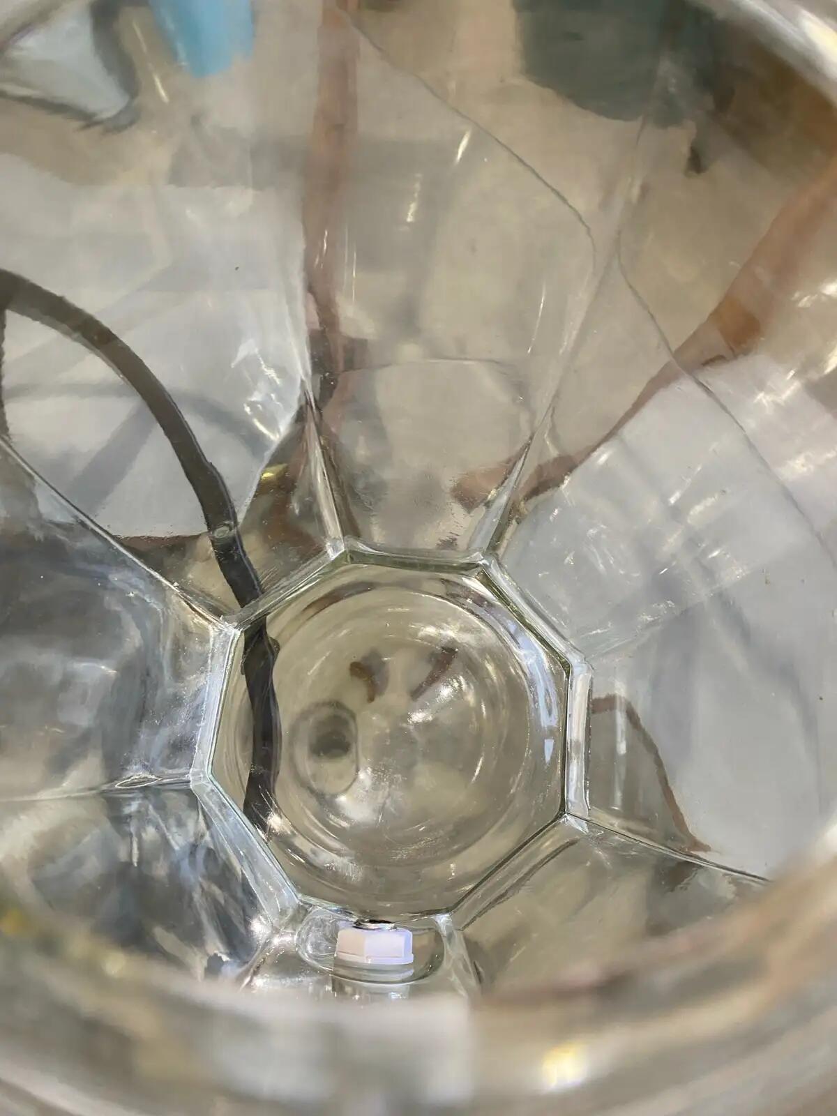 Glass Beverage Dispenser