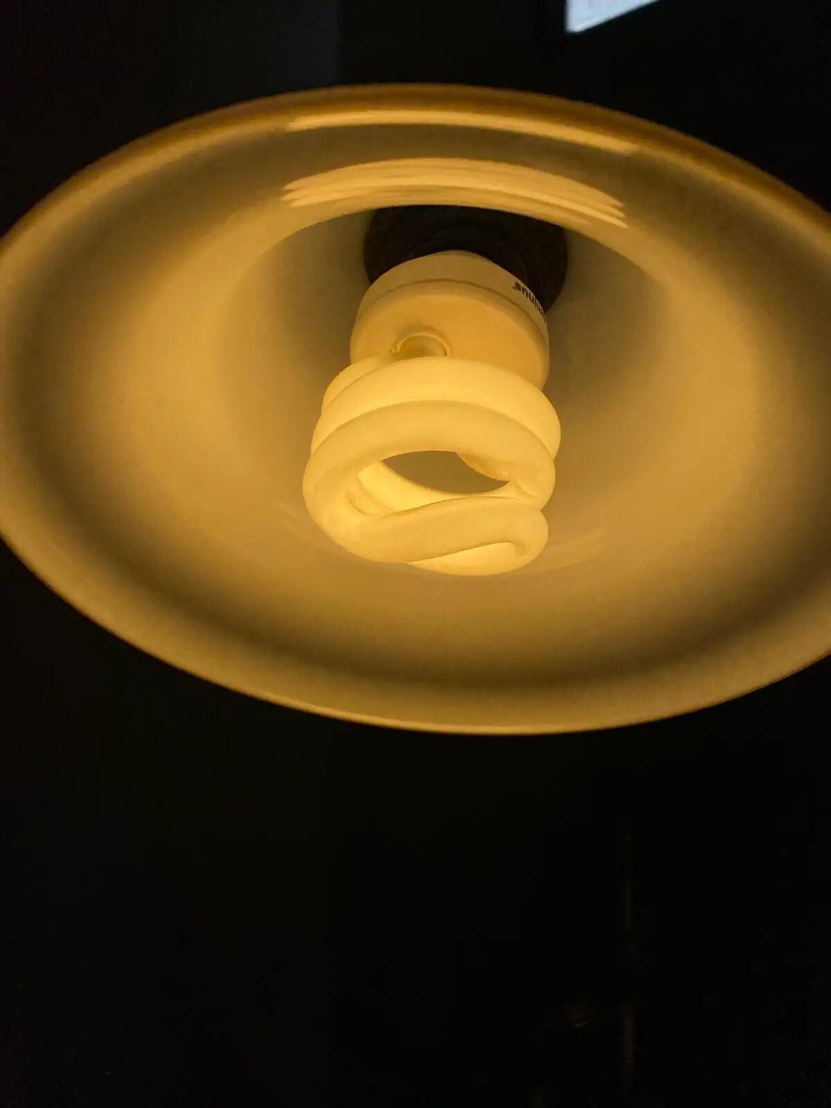 Black Desk Lamp